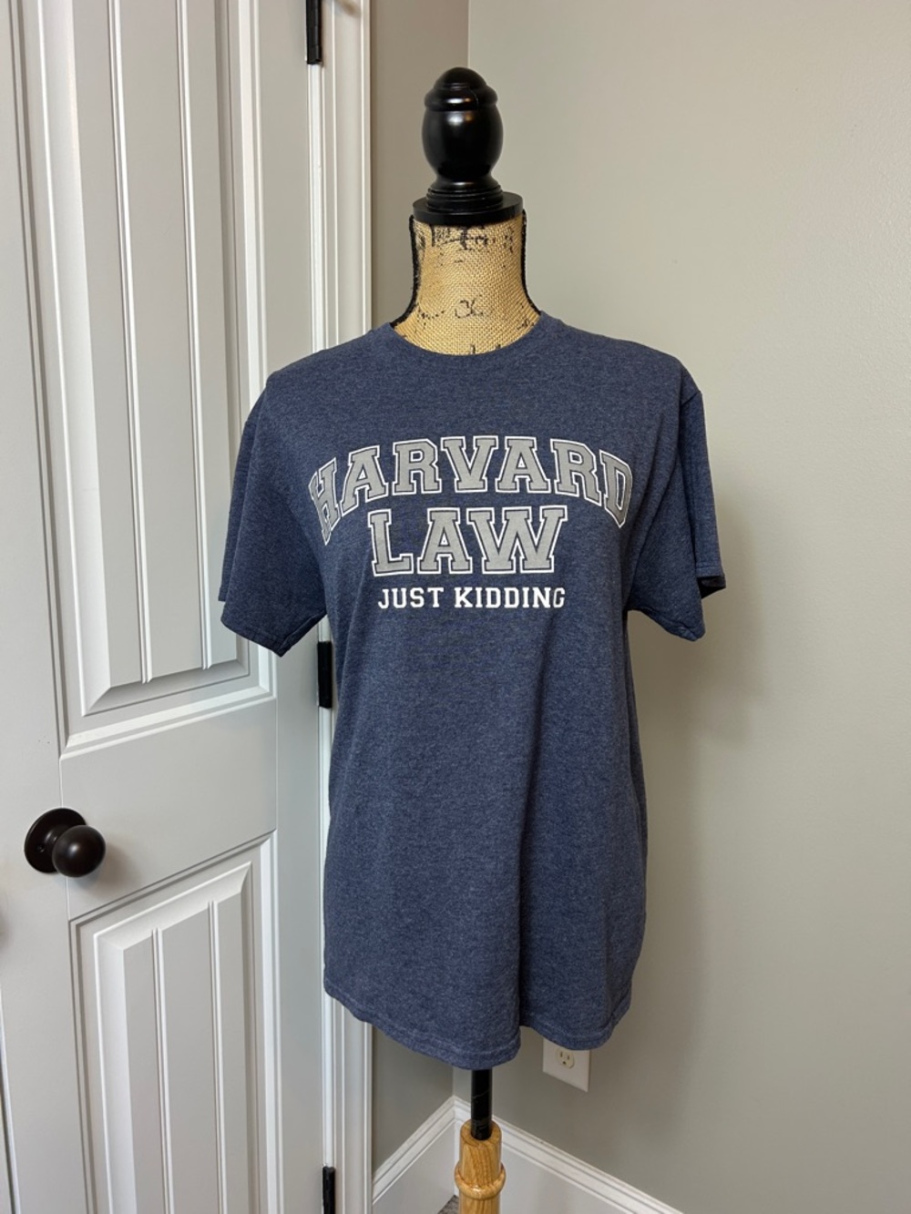 Harvard Law (Just kidding) Fun T-shirt